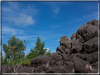 foto Flora e la Fauna alle Seychelles